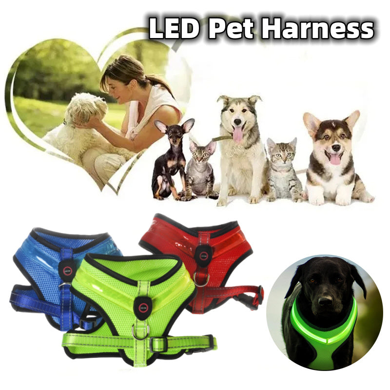 LED Luminous Dog Harness Led USB Charging