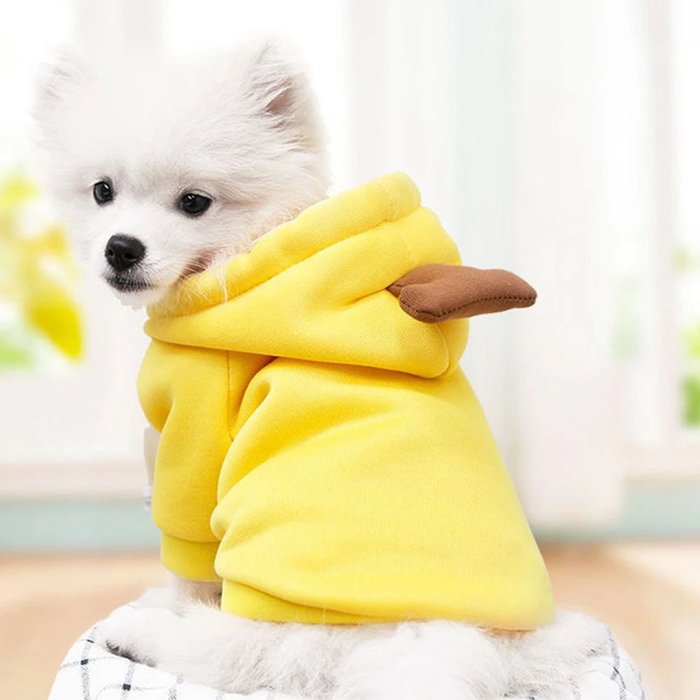 Cute Fruit Dog Clothes