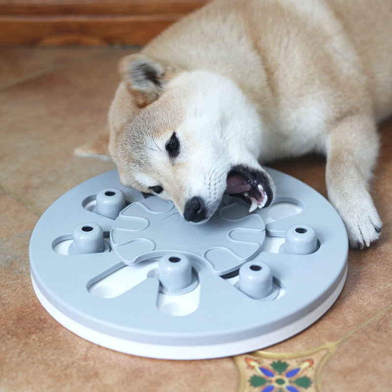 Dog Snacks Slow Food Leaking Dishes