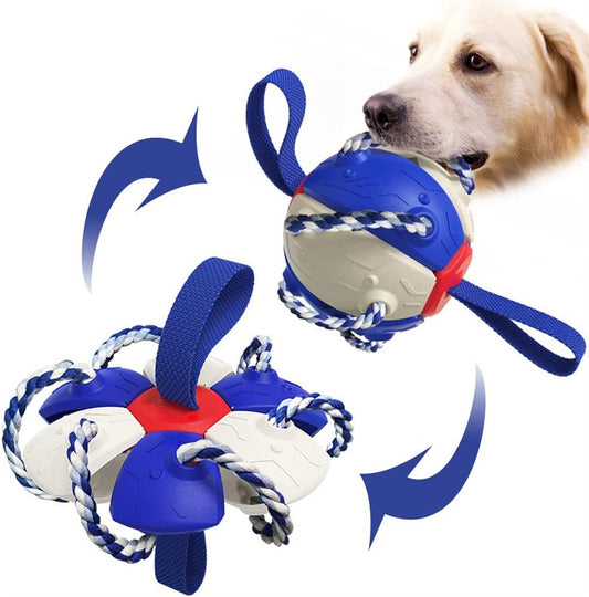 Interactive Dog Football Soccer Ball