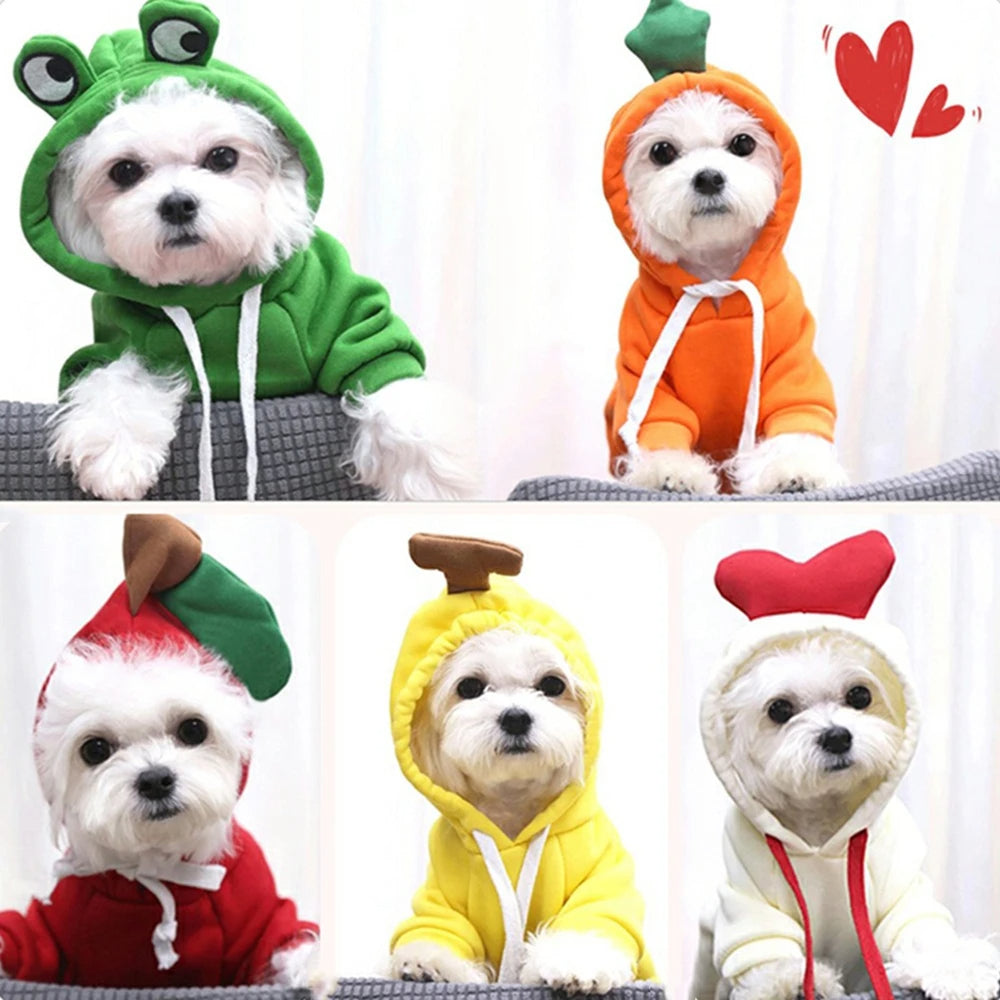 Cute Fruit Dog Clothes