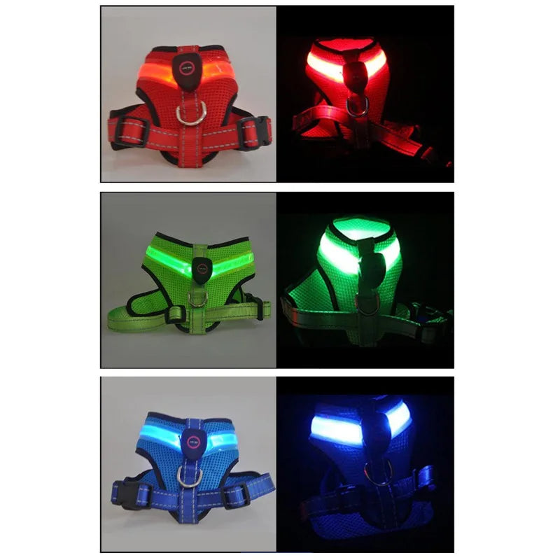 LED Luminous Dog Harness Led USB Charging