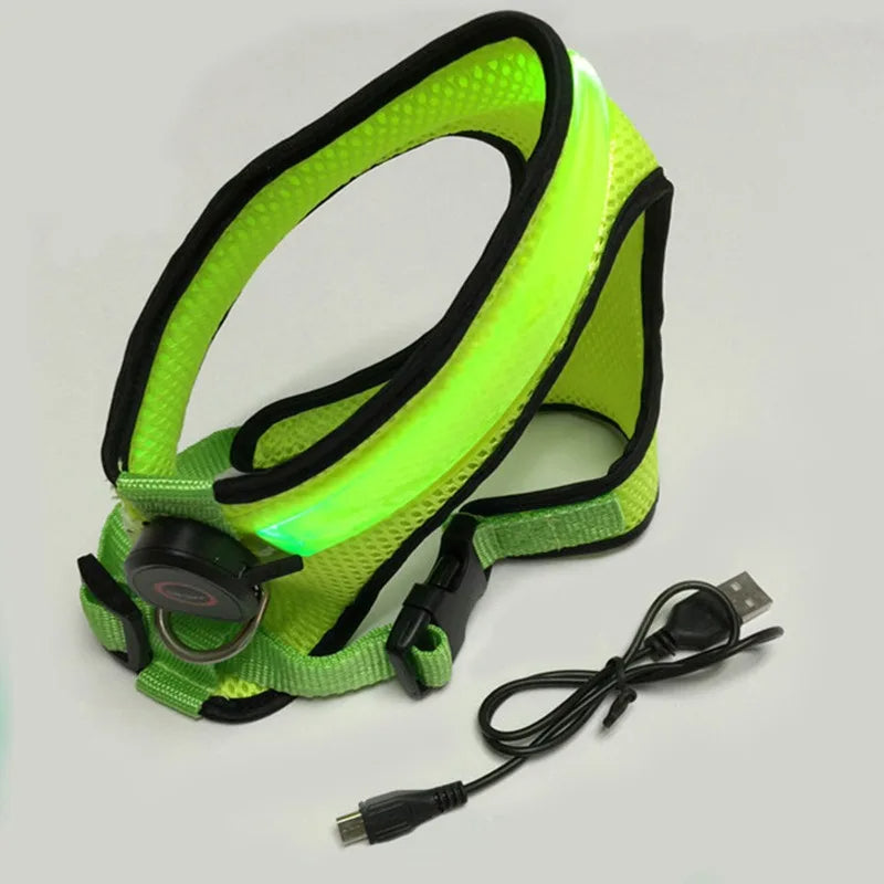 LED Luminous Dog Harness Led USB Charging