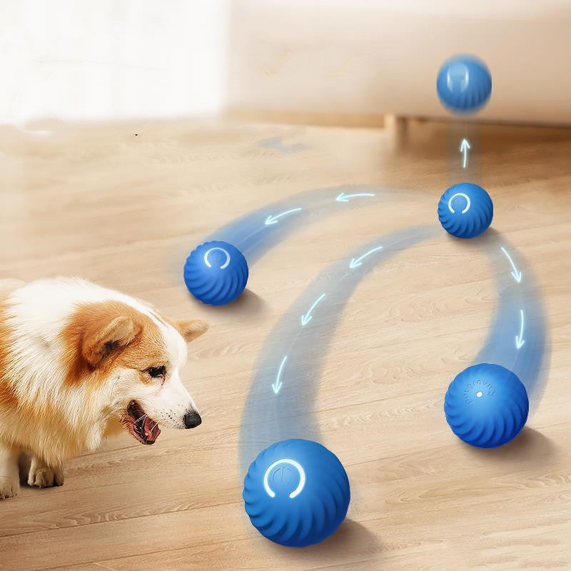 Rubber ball chew toy