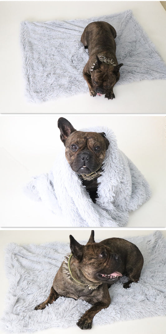 Pet Blankets