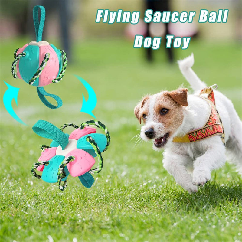 Interactive Dog Football Soccer Ball