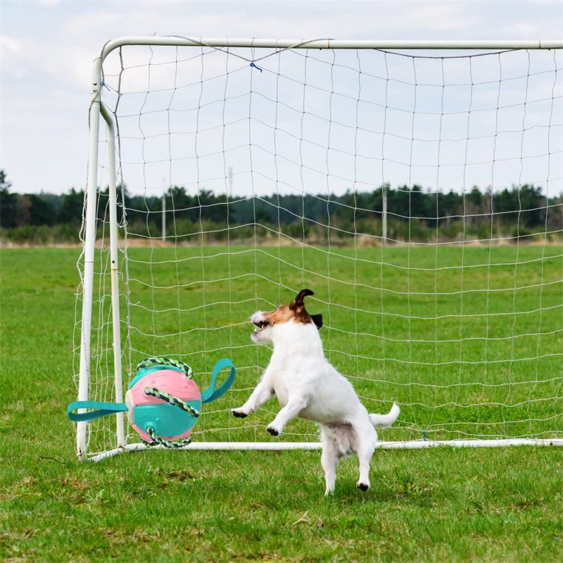 Interactive Dog Football Soccer Ball