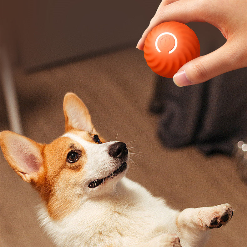 Rubber ball chew toy