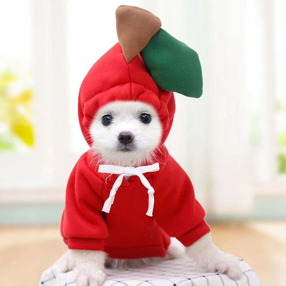 Cute Fruit Dog Clothes