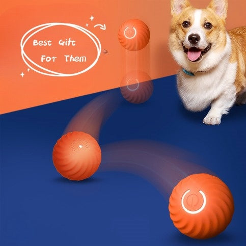 Rubber ball chew toy