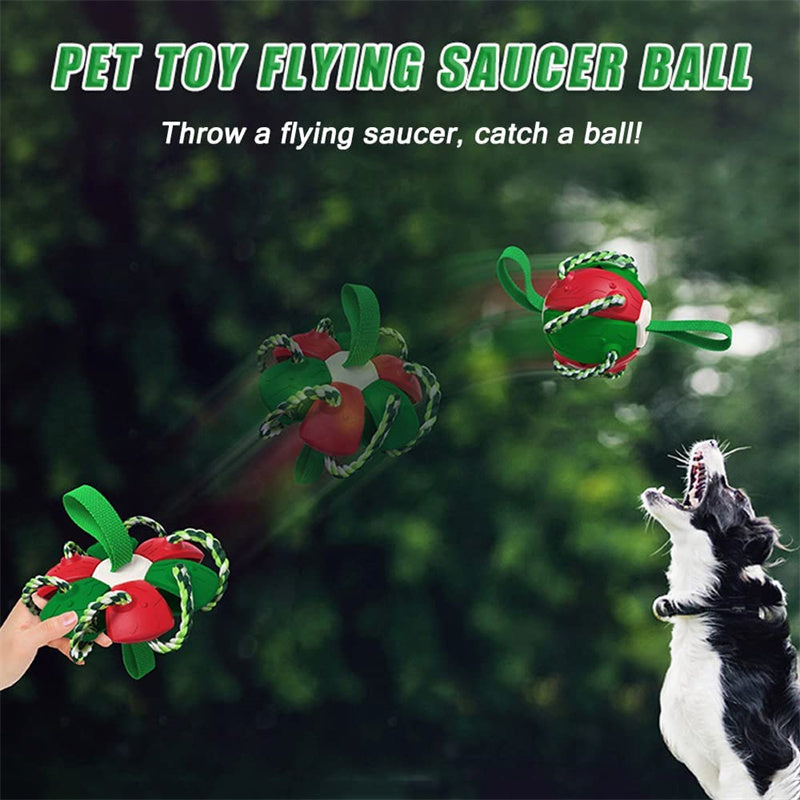 Interactive Dog Football Soccer Ball