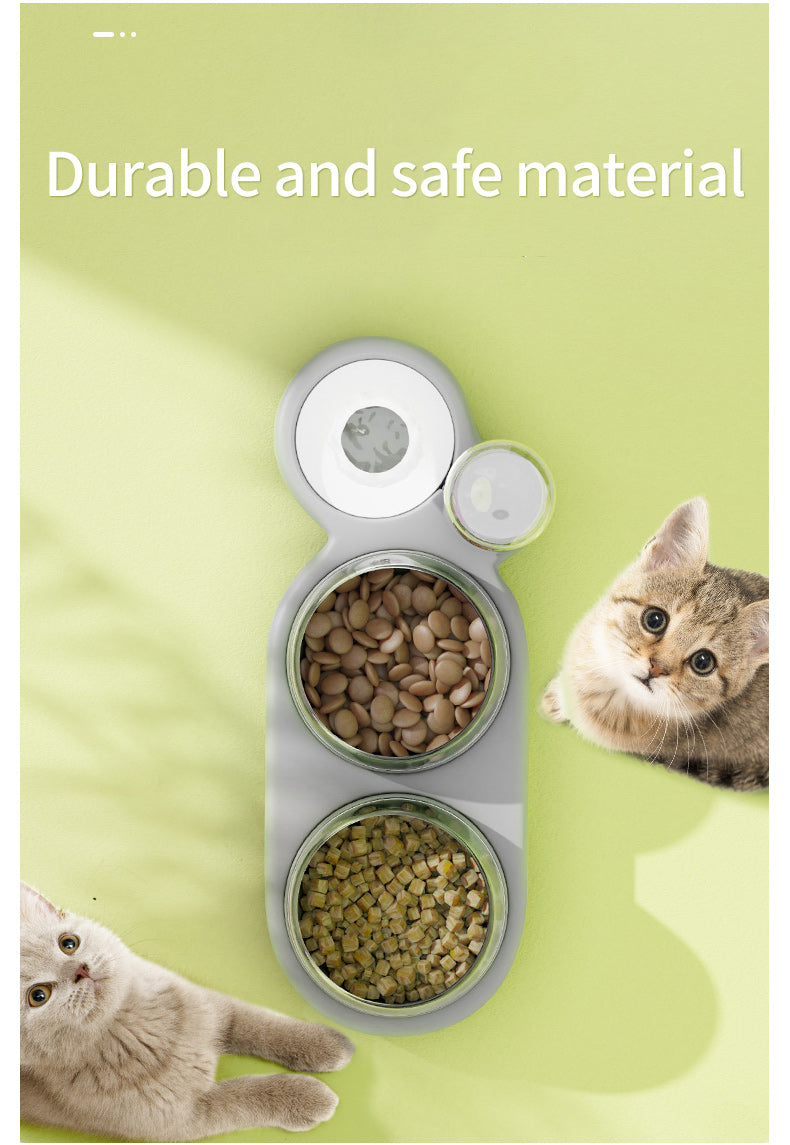 Automatic Feeder Food Bowl With Water Fountain