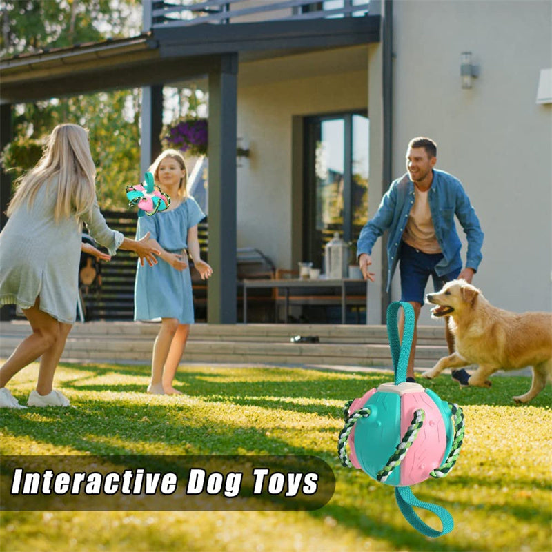 Interactive Dog Football Soccer Ball