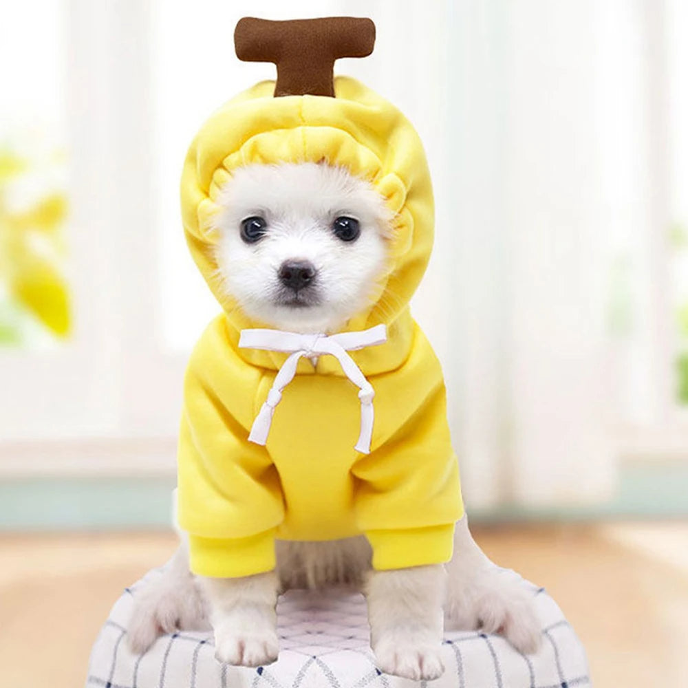 Cute Fruit Dog Clothes