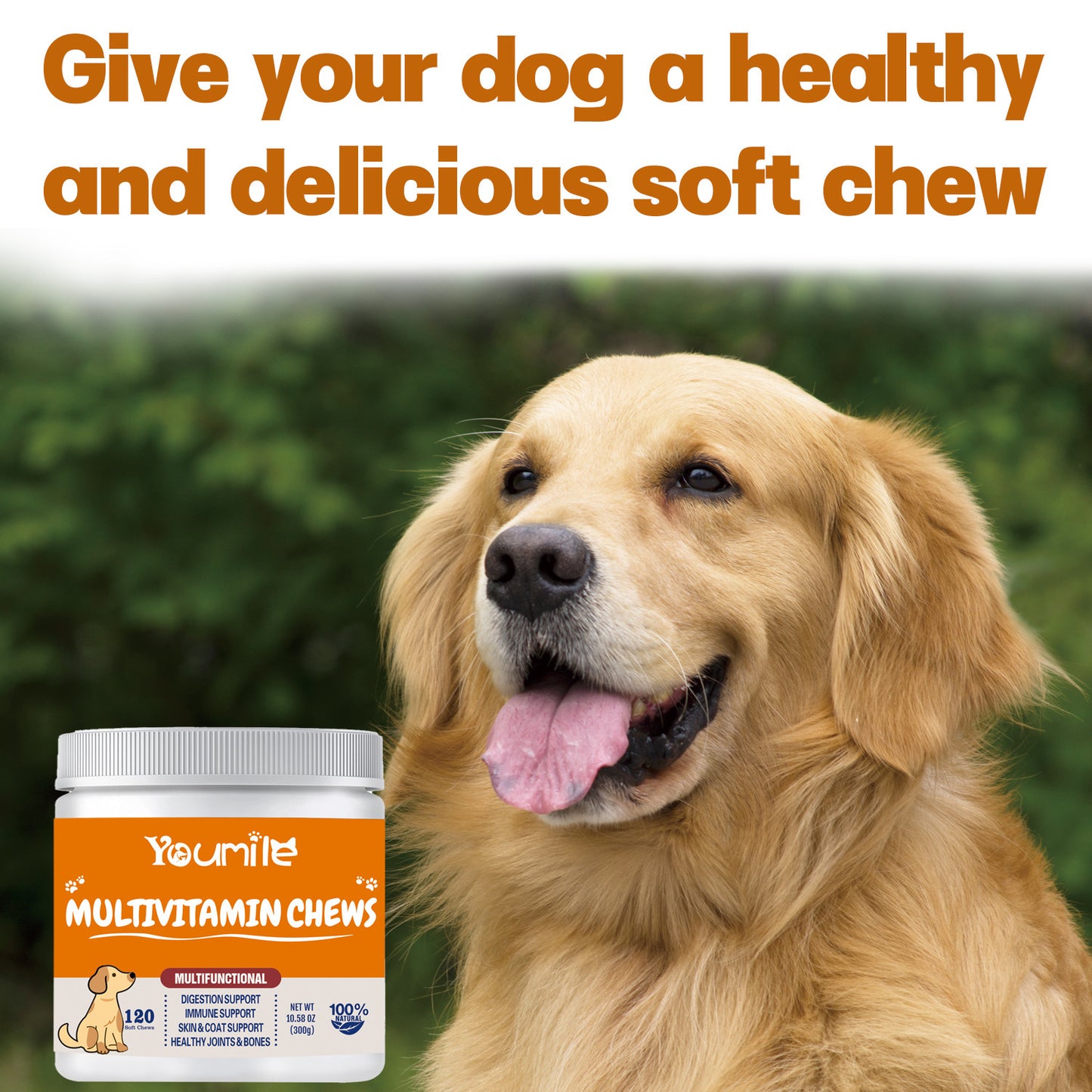 Multifunctional Health Care Products Dog