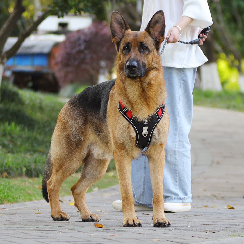 Vest Pet Dog Chest Strap