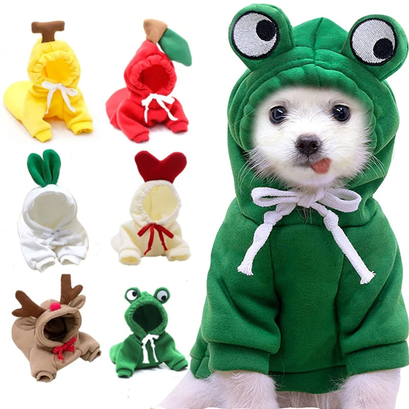 Cute Fruit Dog Clothes