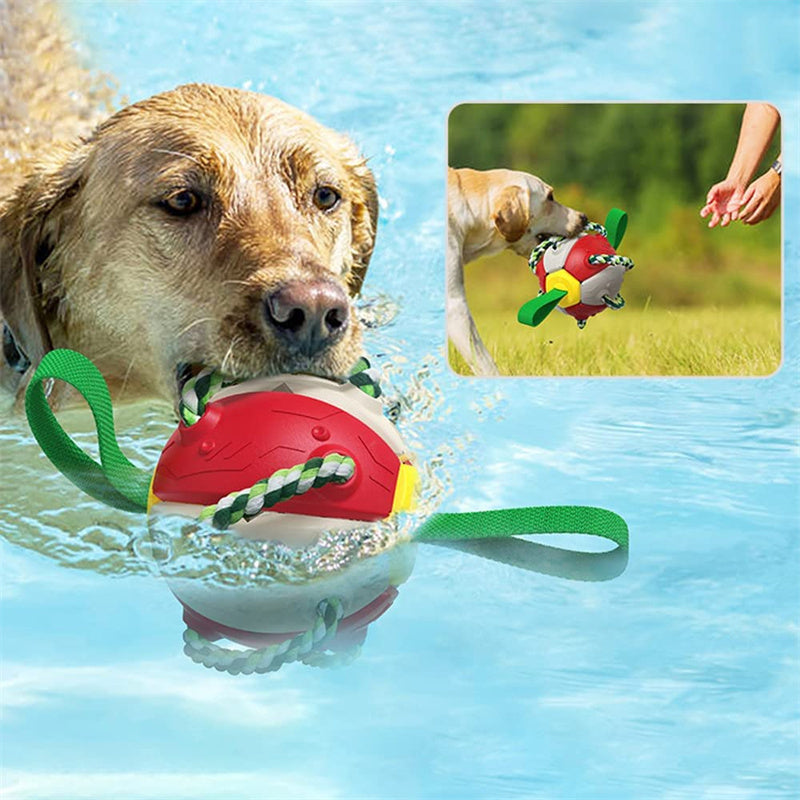 Interactive Dog Football Soccer Ball