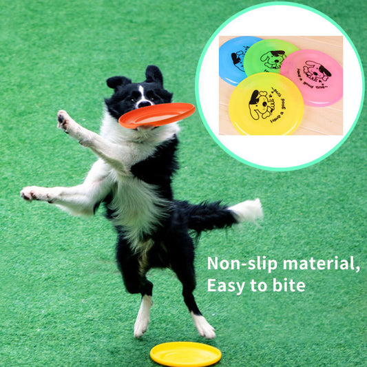 Outdoor Interactive Toys