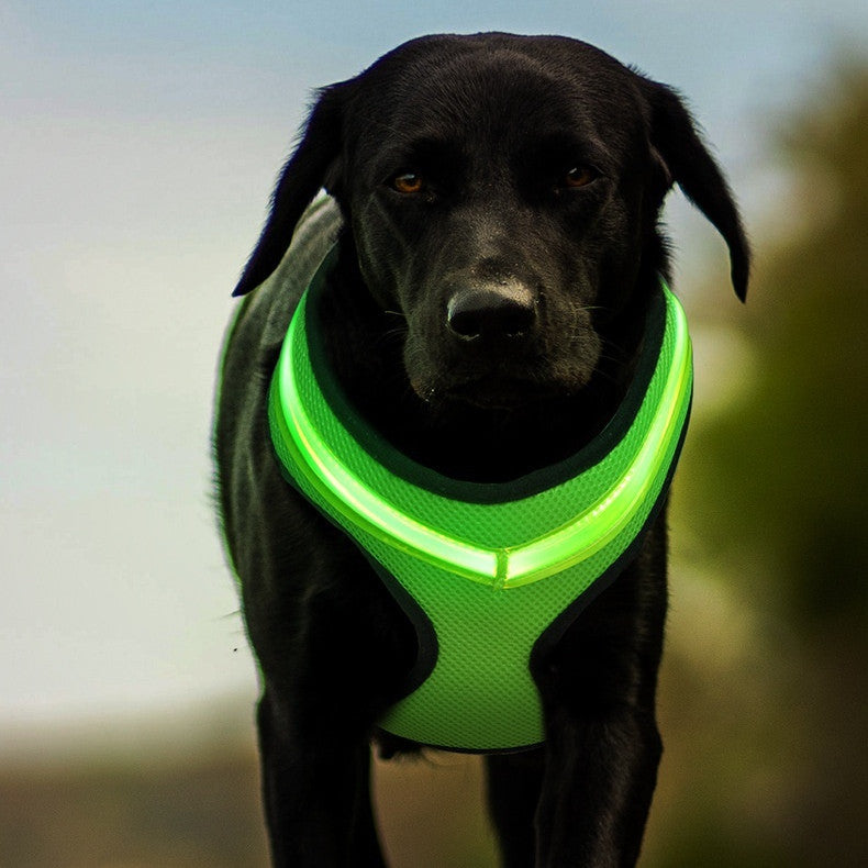 LED Luminous Dog Harness Led USB Charging