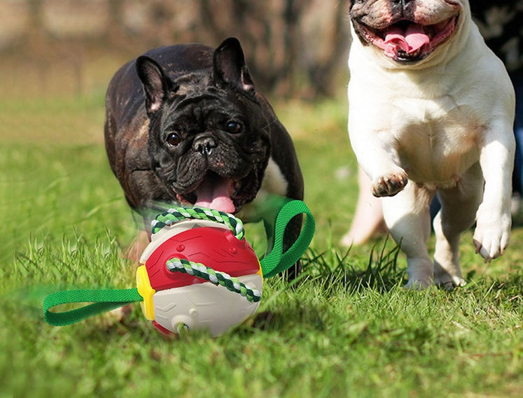 Interactive Dog Football Soccer Ball